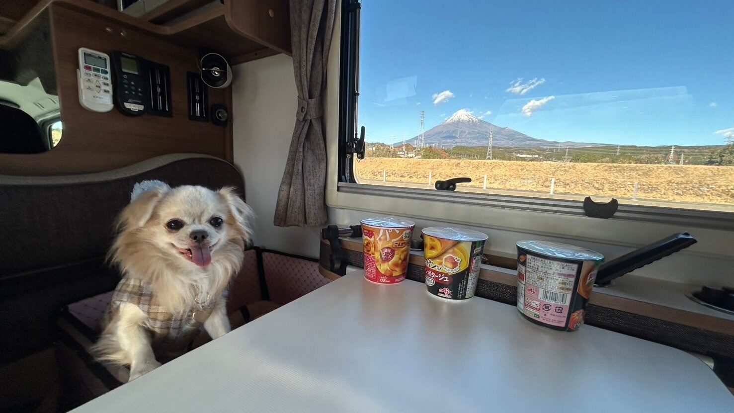 ペットと富士山旅｜愛知Kanoa