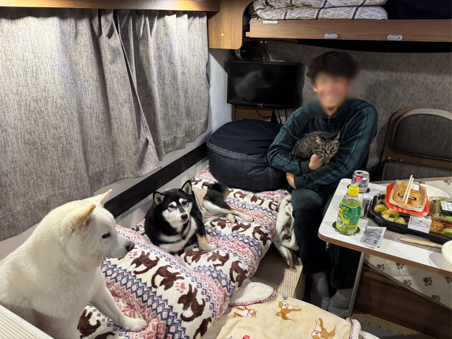 ペット連れキャンピングカー旅｜愛知Kanoa旅プラン2